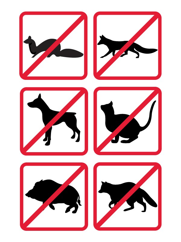 ULTRASONIC POWER CANNON WITH SPEAKER KEMO M161 12V